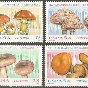 3244-47.Micología