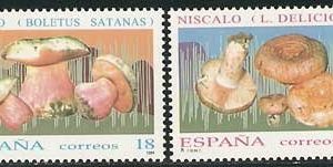 3279-82.Micología
