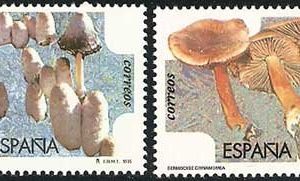 3341-42.Micología