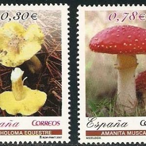 4337-38.Micología