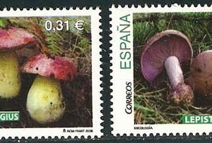 4436-37.Micología