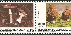 Sellos Guinea Ec. 233-36.Micología