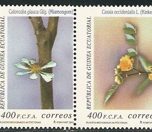 Sellos Guinea Ec. 292-95.Plantas medicinales autóctonas