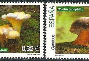 4517-18.Micología