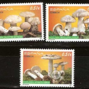 4740-42.Micología 2012