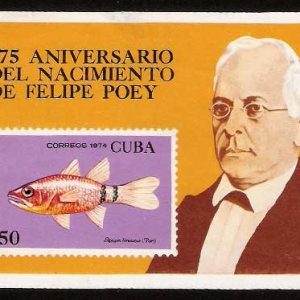 Hoja Bloque Cuba Nº 41 (**)