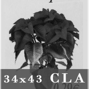 Filoestuches Antiguo Togall «CLA». Ancho:34mm Alto: 43mm Abierto