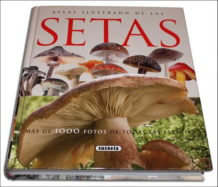 Atlas ilustrado de las Setas