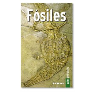 Guía de bolsillo para fósiles -Tikal
