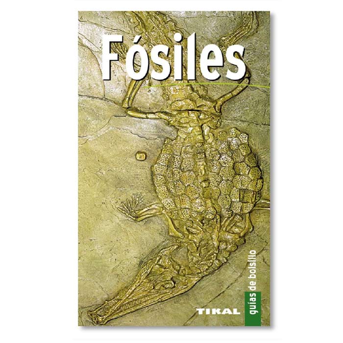 Guía de bolsillo para fósiles -Tikal