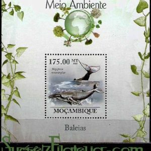 Hoja bloque Mozambique 2010 (**). Ballenas 2
