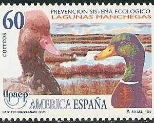 3394. América – UPAEP
