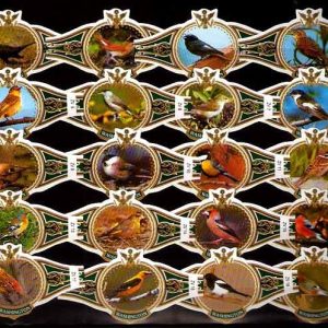 Serie Vitolas Washington. Pajaros Cantores Verde. 20 Vitolas