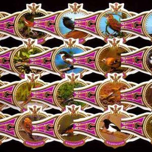 Serie Vitolas Washington. Pajaros Cantores Rosa. 20 Vitolas