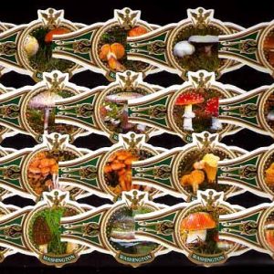 Serie Vitolas Washington. Setas Verde. 20 Vitolas