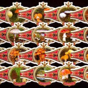 Serie Vitolas Washington. Setas Rojo. 20 Vitolas