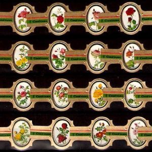 Serie Vitolas Cogetama. Rosas. 24 Vitolas