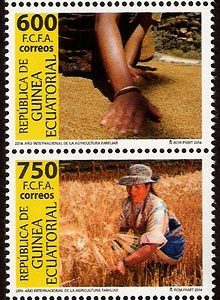 Sellos Guinea Ec. 490/93. Año Int. Agricultura