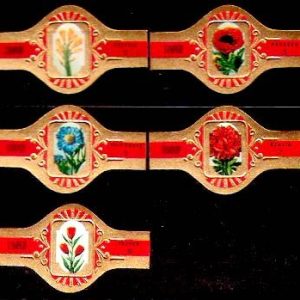 Serie Vitolas Stompkop. Flores. 10 Vitolas