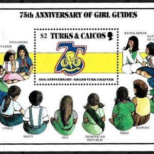 Sello Boy Scout Turcas y Caicos HB 65 (**) 1985