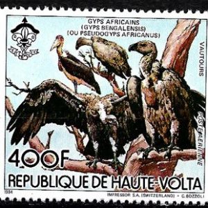 Sello Boy Scout Alto Volta A 271 (**) 1984