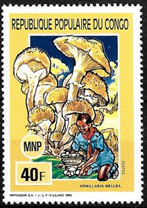 Sello Boy Scout Congo Rep. 884 (**) 1990
