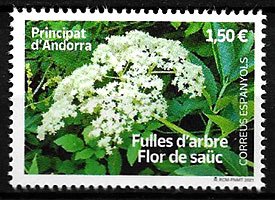 Serie sellos Andorra 515. Hoja de arbol SAUCO