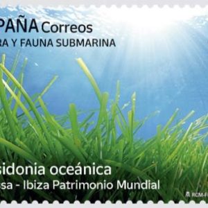 24. Flora y Fauna 2024 – Posidonia Oceánica