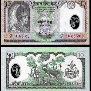 Billete Nepal 010 Rupias 2005 SC POLIMERO