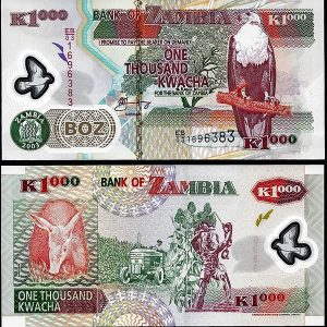 Billete Zambia 1000 Kwacha 2009 SC P44G POLIMERO