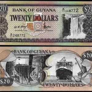 Billete Guyana 020 dolares ND1996 SC P30a F10
