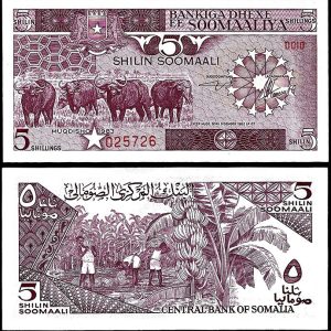 Billete Somalia 0005 Shillin 1987 SC P31c